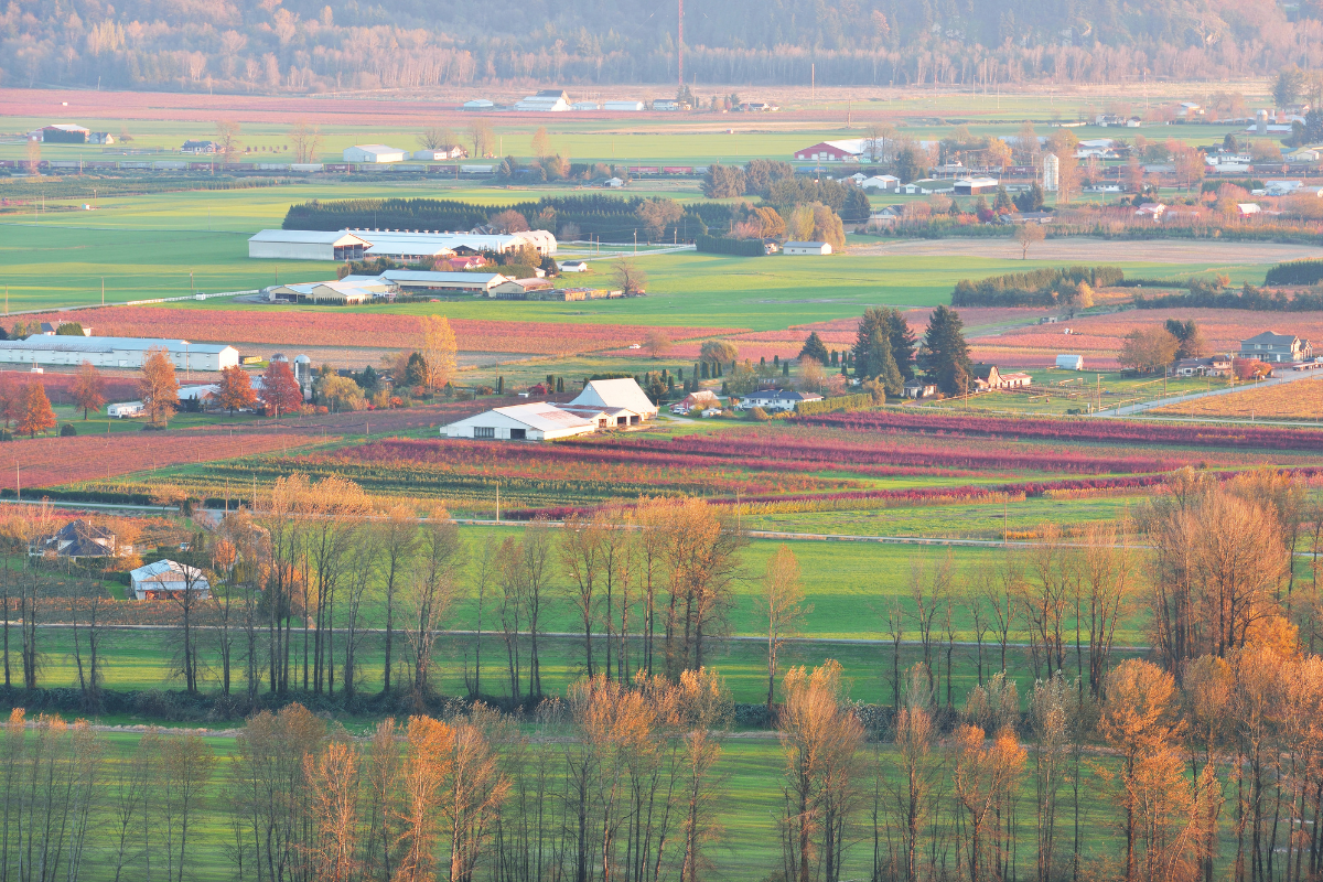 Fraser Valley