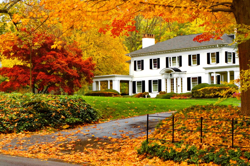 FALL FIXES FOR THE HOME