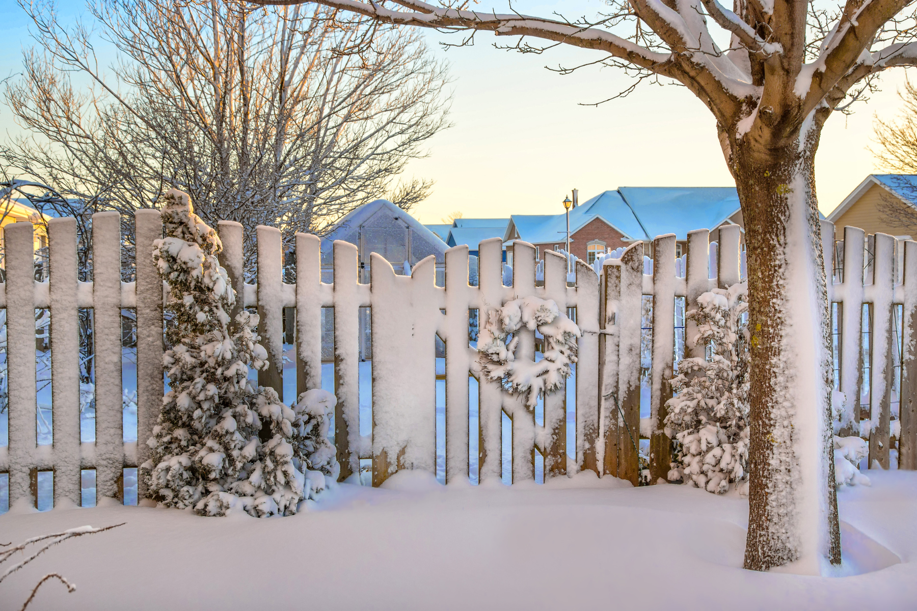 Keeping Up The Yard Through The Winter